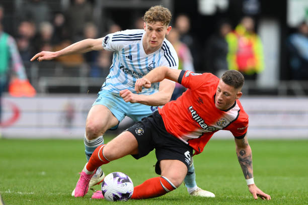 仅需要优质 仅需要优质