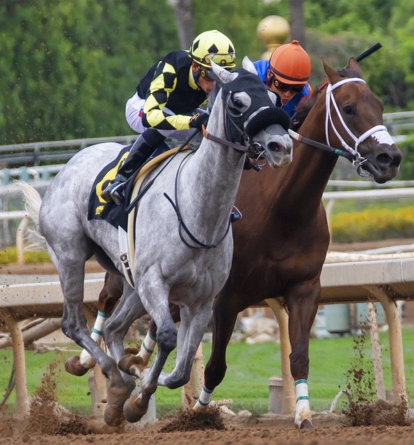 的对手研究 的对手研究